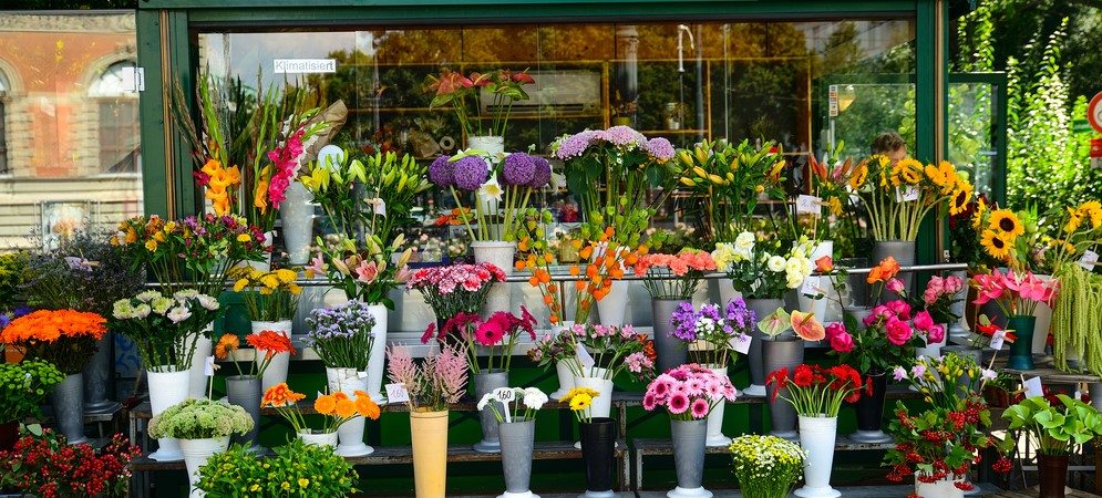 flower-display